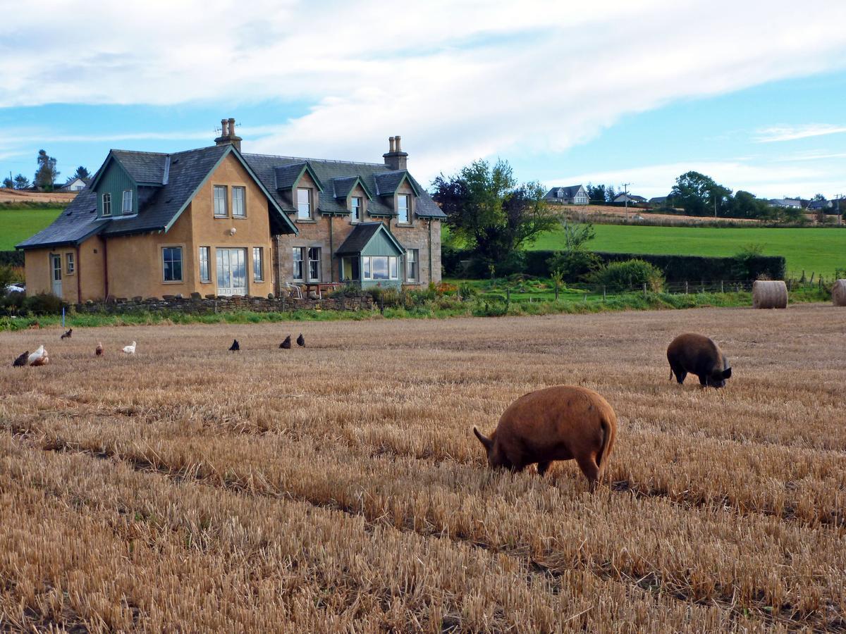 Netherton Farm B&B Culbokie Exterior photo